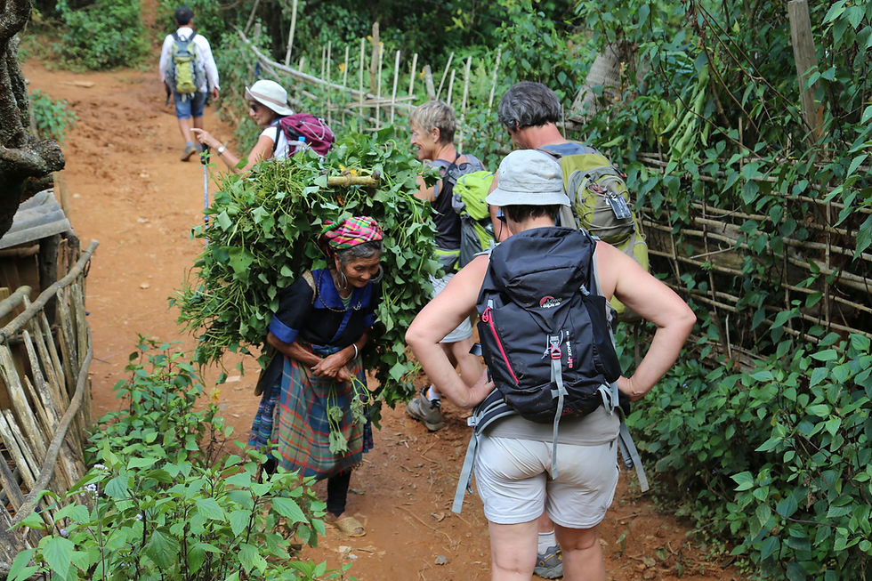 Randonnée pédestre à Mu Cang Chai