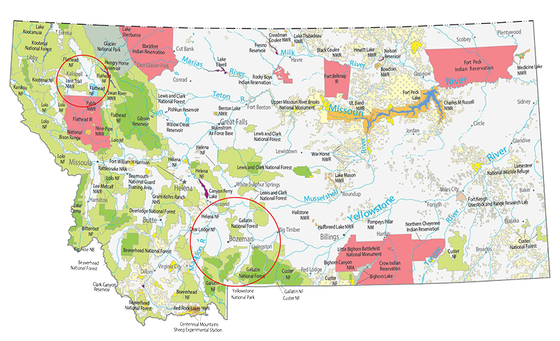 Paradigm Service Updated Map.png