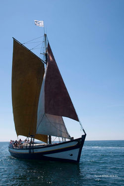 DSC_2165.jpg