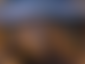 Belles fêtes de fin d'année à tous