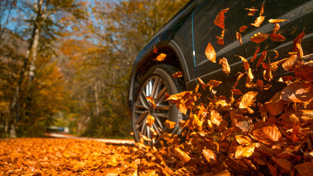 Fall Maintenance for Your Vehicle: Preparing for the Season Ahead