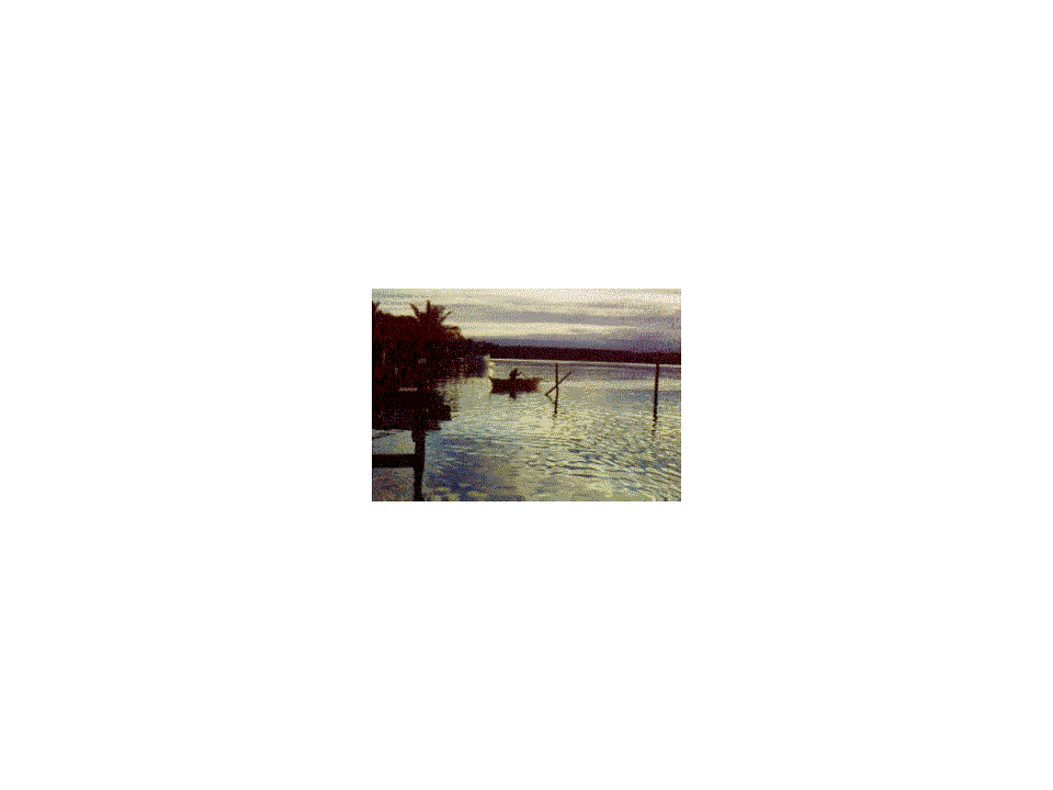 1523281217_b5e9b4f86ce43ca65bd79c894c4a924c.101760.gif