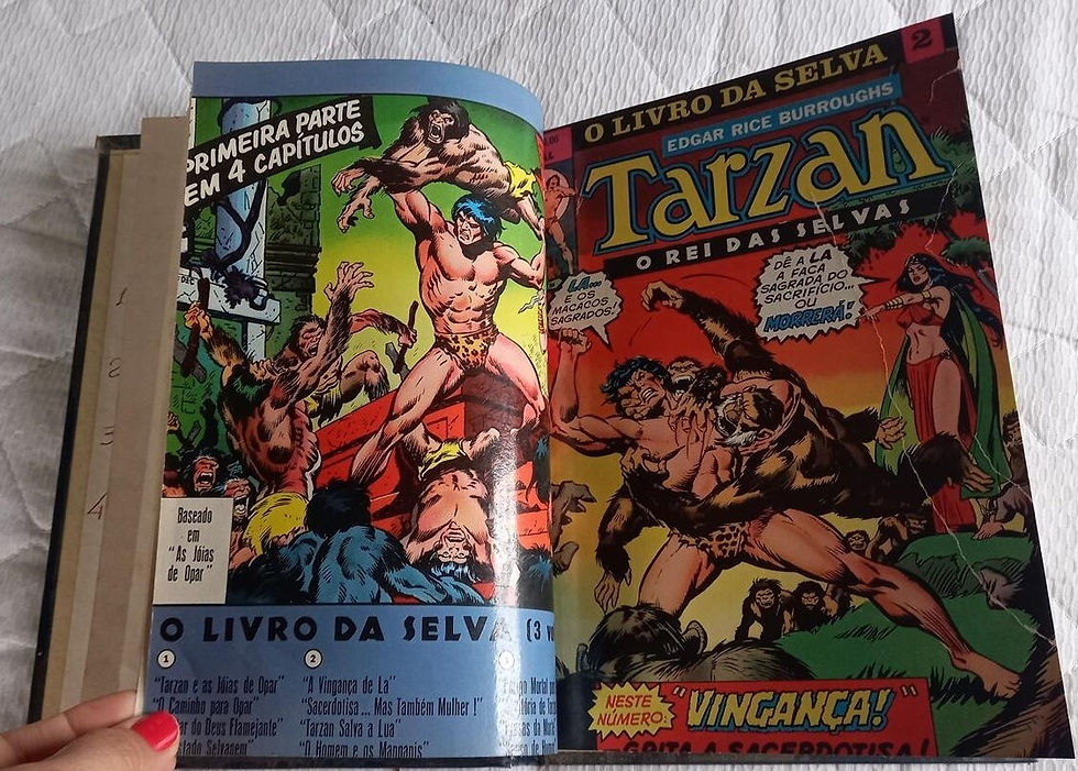 Miniatura: COLEÇÃO ENCADERNADA O LIVRO DA SELVA TARZAN