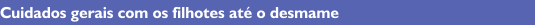 1553953919_1c49d4e13cf230c66b5d6f39a36ec009.134259.gif