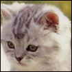 1567557671_864b3f34f67169e7ef28ac57979006b2.147090.gif