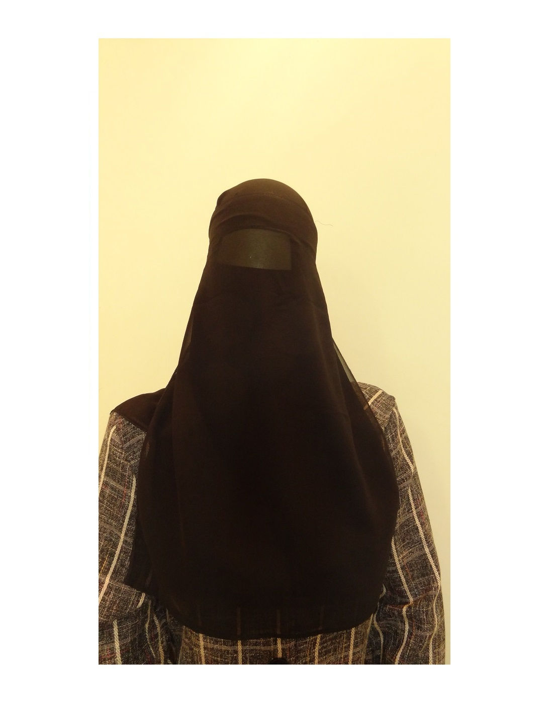 Niqab (1)