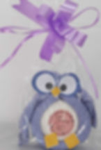 Corujinha Lilás - Toalhinha e Sabonete - Ne