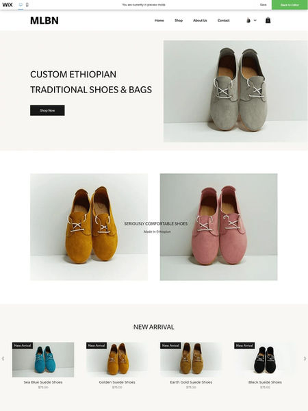 105 (Ecommerce).jpg