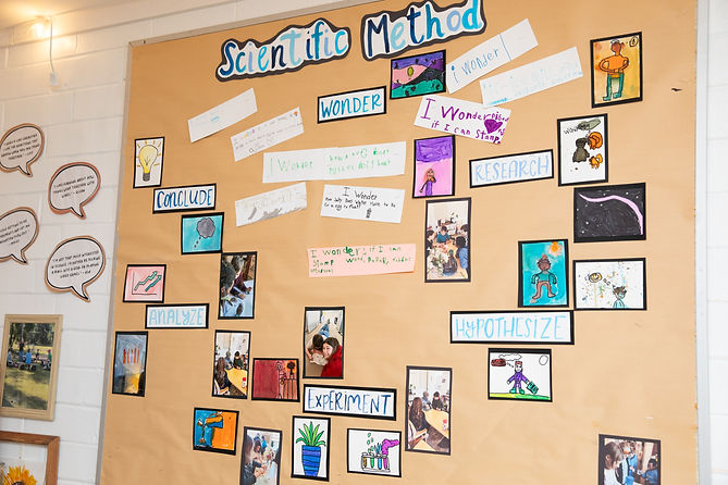 Willow Night of Wonder - February 2025 (26 of 33).jpg