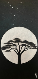 Kenya Nights