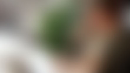 L’optimisation acoustique au service de la qualité de vie au travail