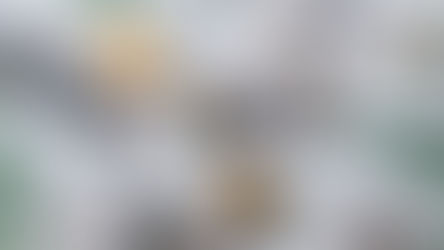 Quelles sont les tendances design 2023 préférées des entreprises?