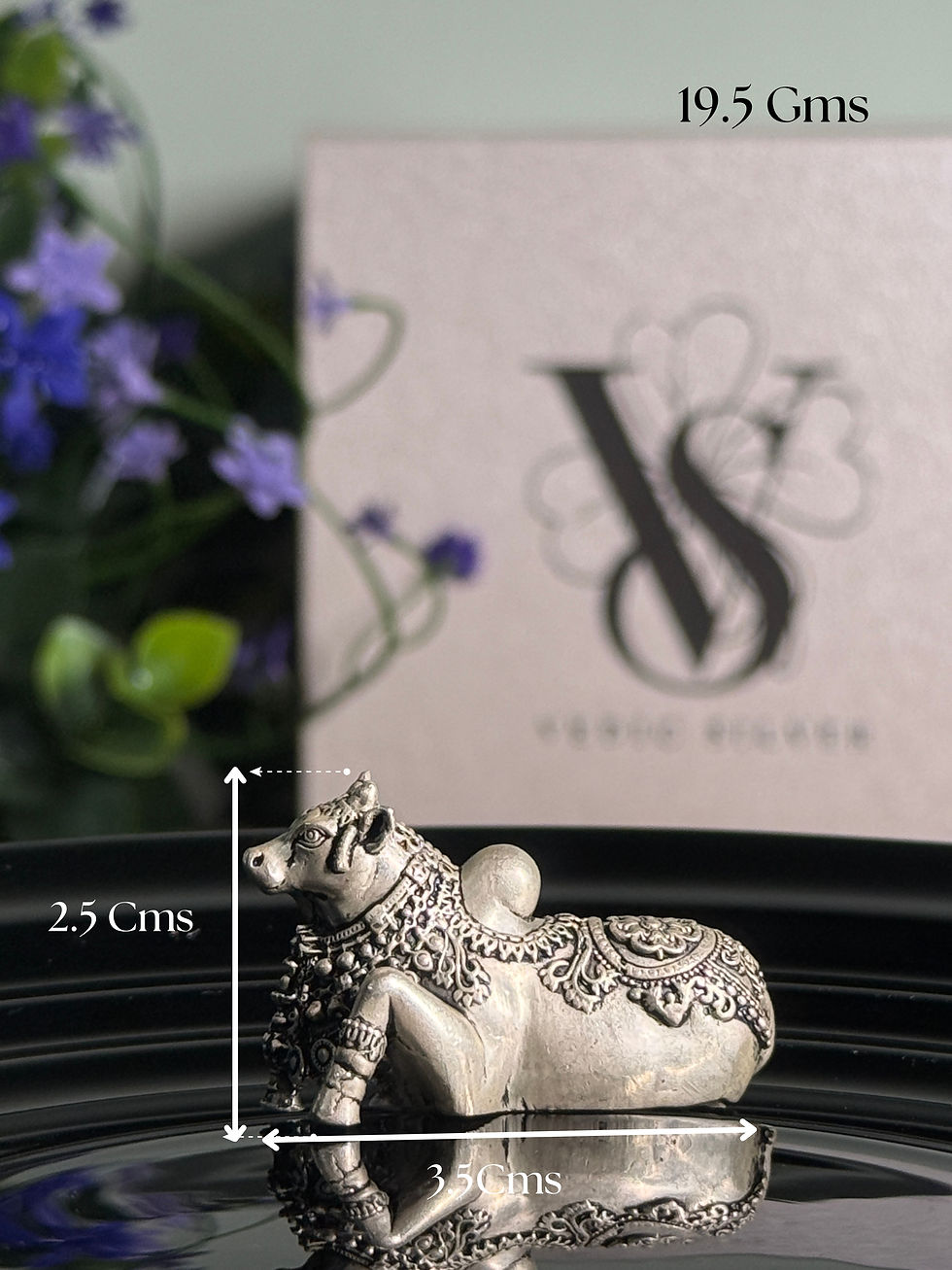 Thumbnail: Nandi Silver Idol