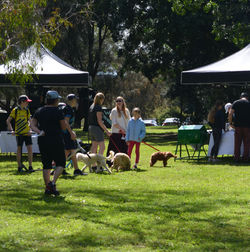 8550F76D-124C-4DBB-9AD5-89A2AF67B44E_1_201_a