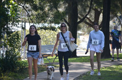 C503410D-2C7B-430E-AA64-36956547A445_1_201_a