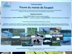 Février 2022 : Concours des prairies et zones humides, Sougéal