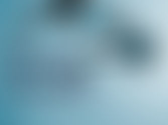 See Your Sales Soar with "The Perfect Advertiser"!