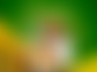 Elevate Your Grocery Business with Smart Digital Marketing