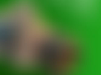 From "Out of Stock" to "Top of Mind": Why Your Grocery Store Needs a Daily Digital Presence