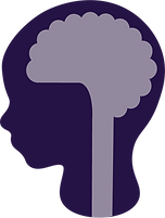 child's brain