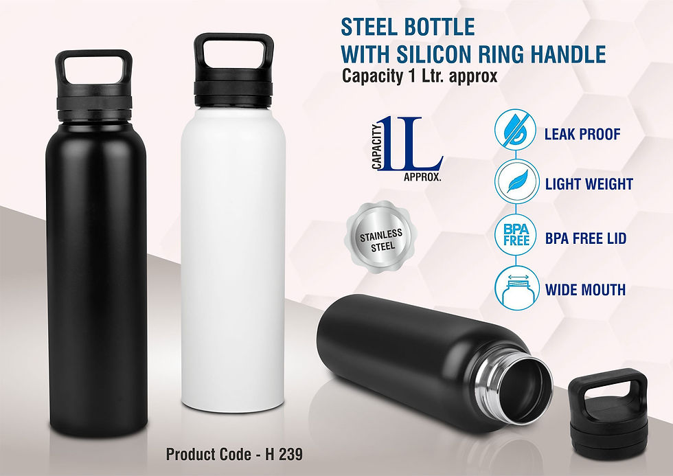 H239 – Steel Bottle With Silicon Ring Handle