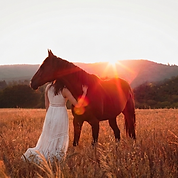 Photographe equestre Moselle Metz