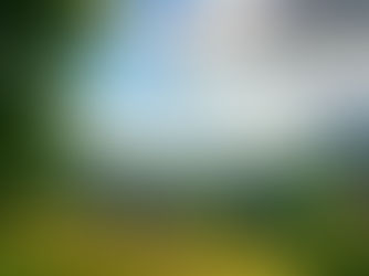 Relaxing countryside for those with Hashimoto's