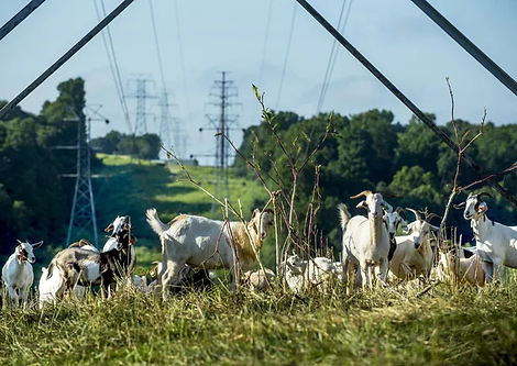 Screenshot 2025-12-12 1.48.06 PM.png