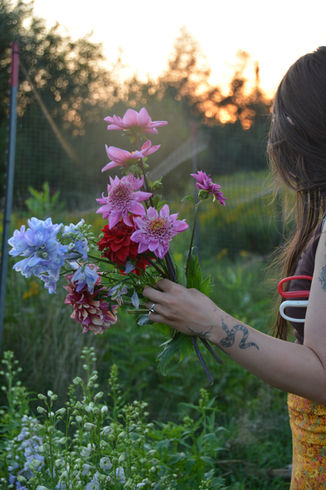 flower harvest prairie rose