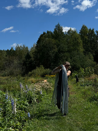 working on the flower farm
