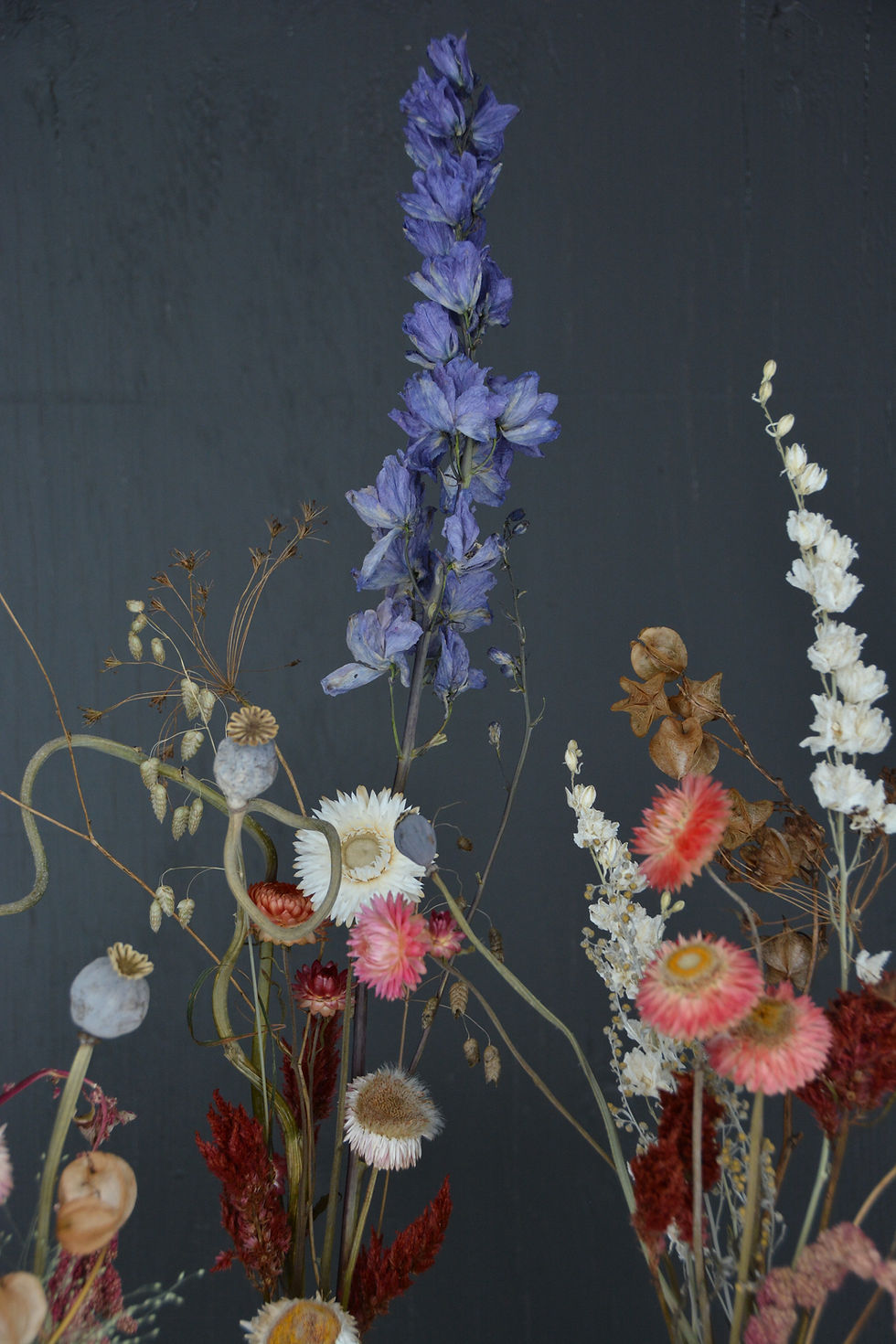 The vibrant colors of dried flowers never dissapoints.