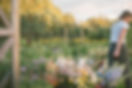 DSC_7938_websize.jpg