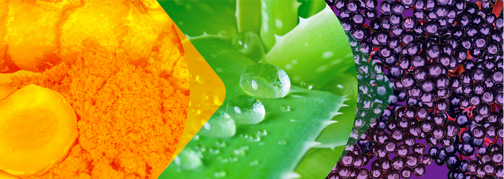 150dpi_PerioGold_Ingredients_Colourstrip_01.png