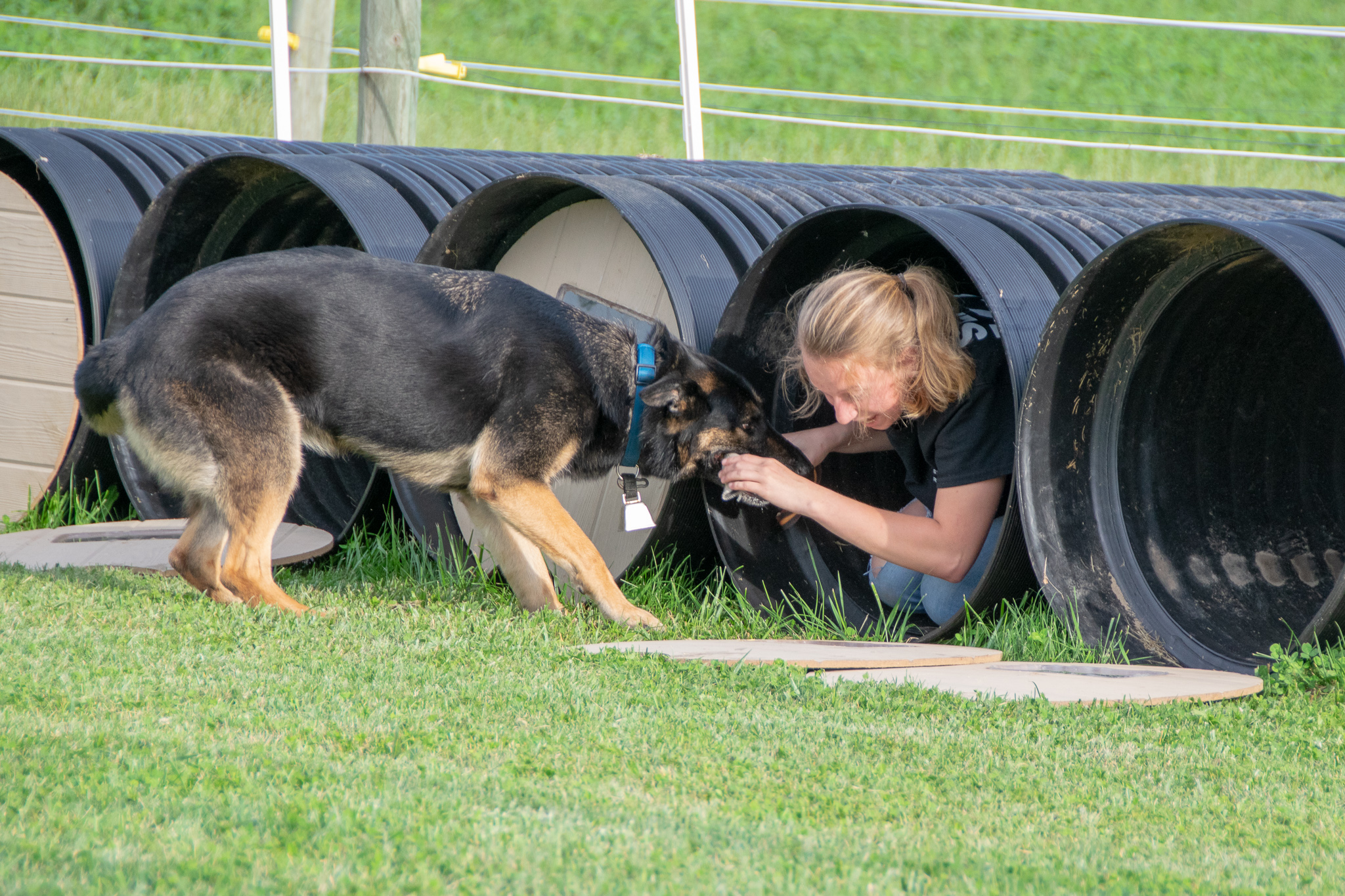 Bark tube basics