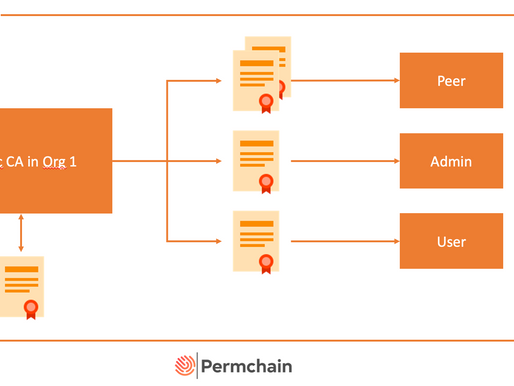 Unleash the power of the Fabric CA and revoke certificates in Hyperledger Fabric
