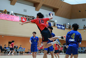 IMG_0116.jpg