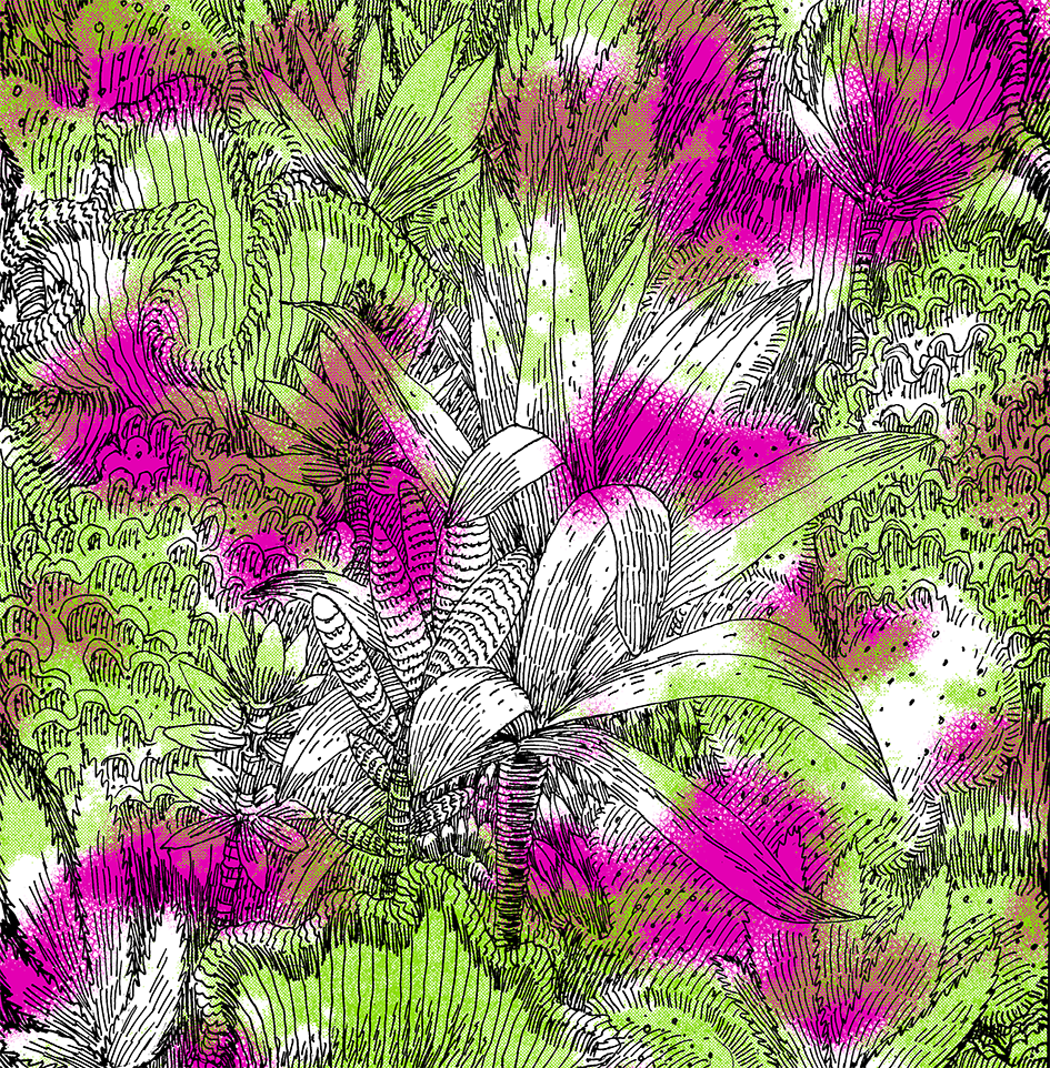 Tropical patterns