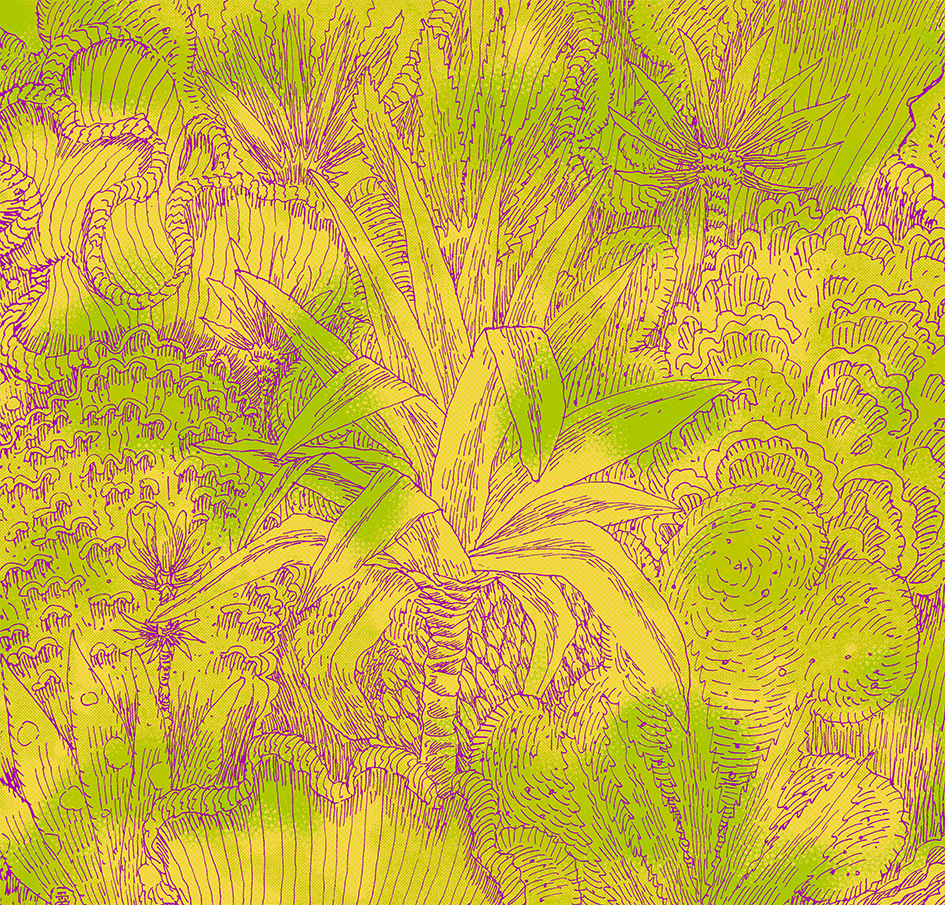 Tropical patterns