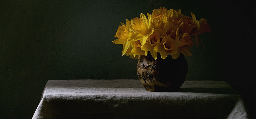 still life ürün fotoğrafı