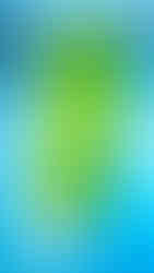 still life ürün fotoğrafçılığı, still life fotoğrafçısı