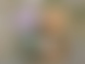 自分を律する