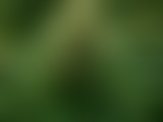 מה הם זני מקור ולמה אכפת לנו מהם?