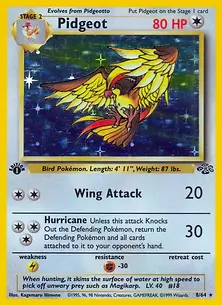 8-64-Pidgeot-Jungle.jpg