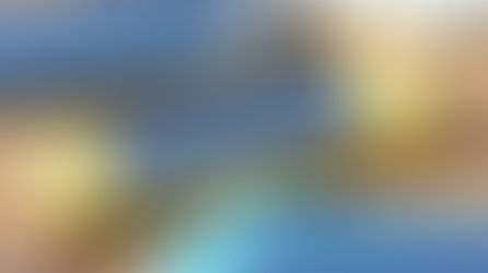 Nintendo Switch Lite - What to expect
