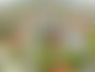 Single Syndications vs. Multi-Asset Funds w/ BPG Holdings