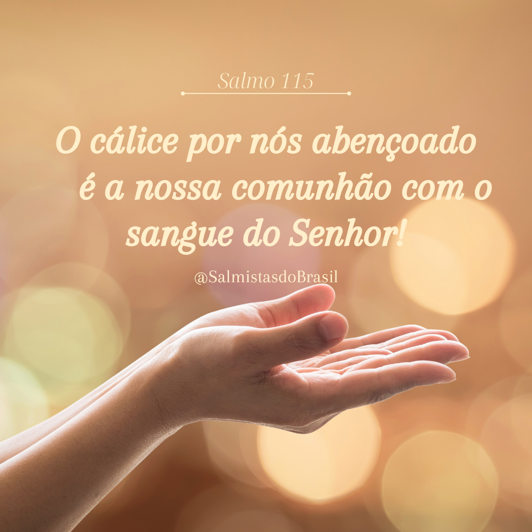 O cálice por nós abençoado é a nossa comunhão com o sangue do Senhor ...