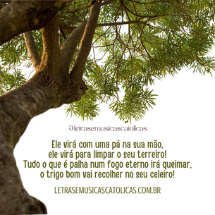 Ele virá com uma pá na sua mão (3º Domingo Advento Ano C)