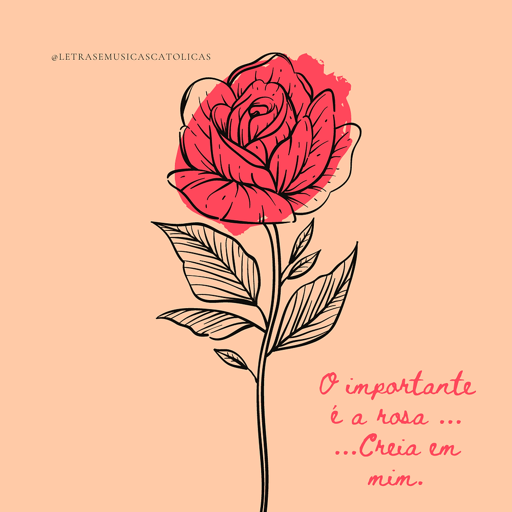 O importante é a rosa