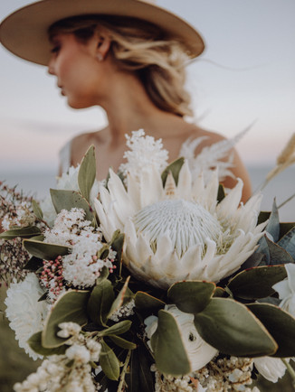 OlegCassini_MBPhotography-131.jpg