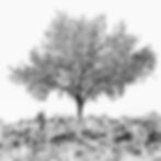 SymmeTree (2)